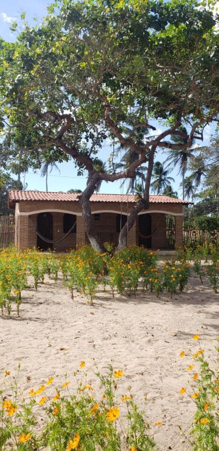 Pousada Vila Mangue Seco Жижока-ді-Жерікуакуара Екстер'єр фото